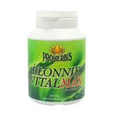 194b1efdd21b2a8a1a920c59a0ad2db6